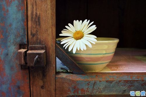 忘不了一個(gè)人的說說傷感淚目 一想到你我就淚流不止的說說2