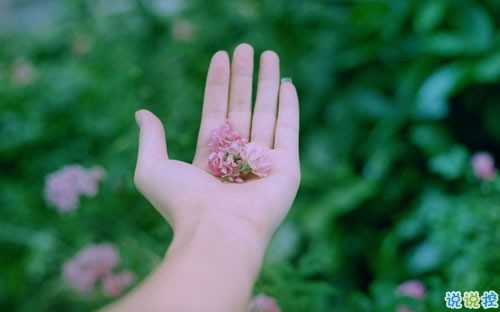 一句話說說經(jīng)典有哲理 2019最火的哲理句子發(fā)朋友圈的1