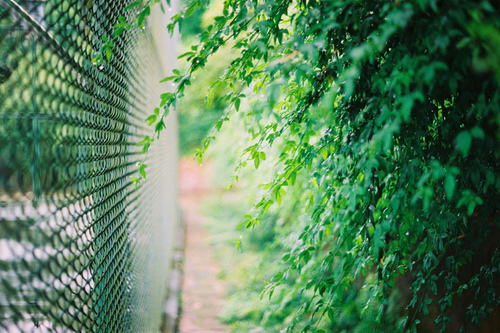 愛情中的孤獨寂寞說說 每個人都曾在愛情中流淚的傷感說說1