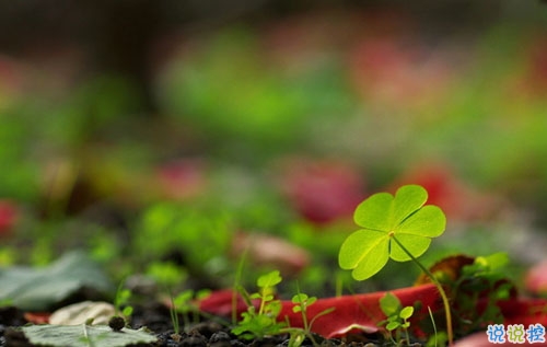 2019年元旦倒計(jì)時(shí)說說心情短語 元旦發(fā)微信朋友圈的經(jīng)典說說2