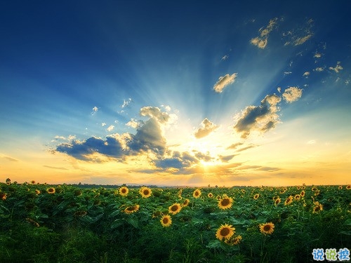 人生感悟說說剪短一點的 經(jīng)歷成長的經(jīng)典說說合集2