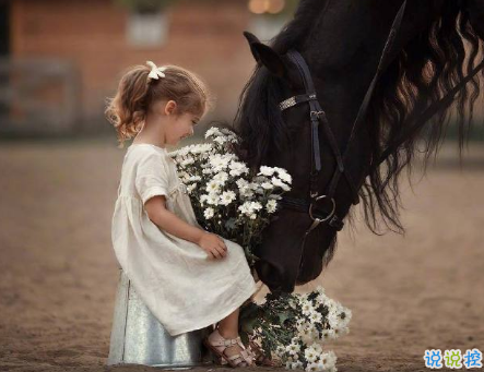 愛情傷感說說看完哭了那種 這一路走來的愛情心酸說說20181