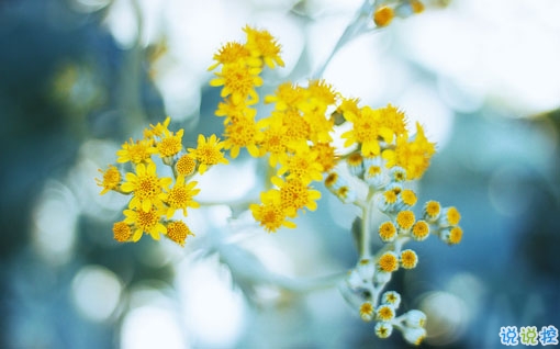 最美好的愛(ài)情說(shuō)說(shuō)大全 簡(jiǎn)單幸福說(shuō)說(shuō)心情短語(yǔ)1