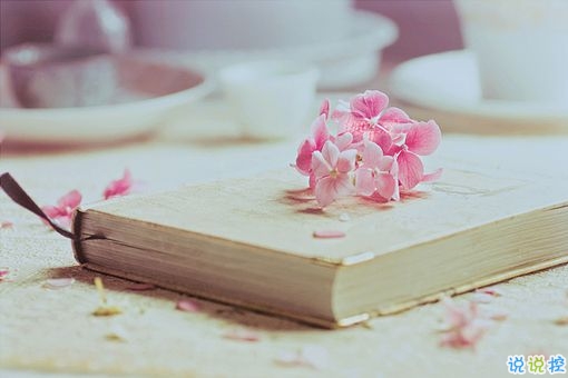 快手愛情語錄說說大全 快手說說句子熱門情話2