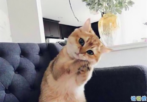 特別好笑又好玩的搞笑說(shuō)說(shuō)大全 讓人捧腹大笑的搞笑內(nèi)涵說(shuō)說(shuō)2