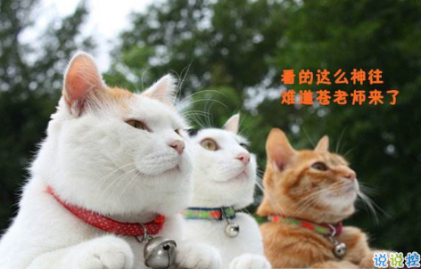 2018清明節(jié)搞笑說(shuō)說(shuō)：清明節(jié)應(yīng)該回小學(xué)初中掃掃墓，因?yàn)槟抢锫裨崃四愕那啻骸?