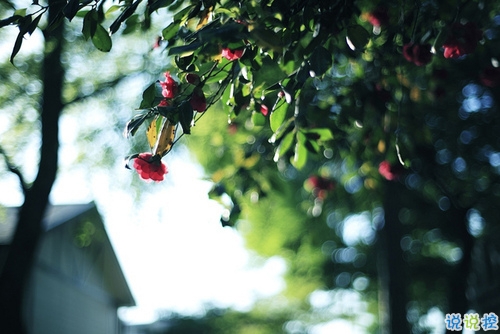 關(guān)于愛(ài)情很心酸的傷感說(shuō)說(shuō) 文藝范傷感愛(ài)情說(shuō)說(shuō)文字控喜歡的2