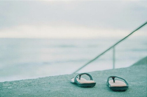 你們當(dāng)年是因為什么而選擇的如今的大學(xué)呢？1