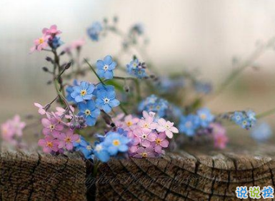 2019四月微信說(shuō)說(shuō)心情短語(yǔ) 四月你好一句話說(shuō)說(shuō)1