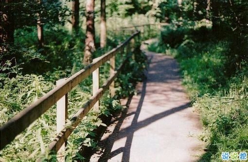 偶然看見(jiàn)的一句話可以打動(dòng)你心 很經(jīng)典的愛(ài)情說(shuō)說(shuō)大全20181