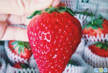 有關(guān)吃貨的朋友圈說說大全1