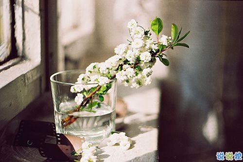 最新朋友圈經(jīng)典說(shuō)說(shuō)2019精選 好聽(tīng)的微信經(jīng)典說(shuō)說(shuō)1