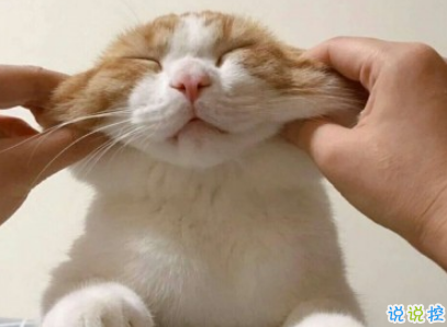 qq擴列說說怎么寫逗比 超級搞笑有趣的擴列說說2