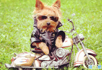 女人不花心，又怎么對得起貌美如花2