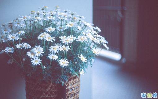 最美好的愛(ài)情說(shuō)說(shuō)大全 簡(jiǎn)單幸福說(shuō)說(shuō)心情短語(yǔ)2