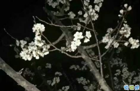 關于學習努力奮斗的說說致自己 提升自己的正能量說說激勵人心1