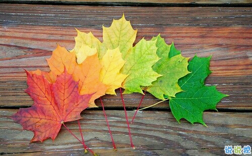 寫(xiě)給閨蜜的一些說(shuō)說(shuō)句子很煽情 暖心的閨蜜說(shuō)說(shuō)簡(jiǎn)單卻讓人感動(dòng)2