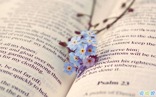 2019最真摯走心的愛(ài)情說(shuō)說(shuō) 讓人感動(dòng)淚目的情話合集2