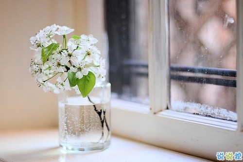 最能讓對方感動(dòng)的話很窩心 可愛呆萌的溫暖小情話1