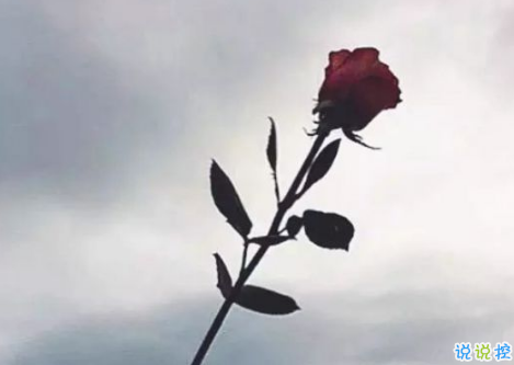 艾特自己的勵(lì)志說說2018最新版 適合艾特自己的說說很有道理2