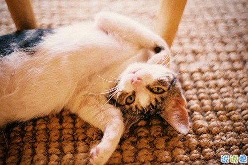 2018有深刻哲理的經(jīng)典說說大全 很深刻精辟有內涵的哲理說說2