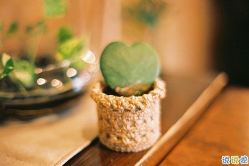 偶爾有點小傷感的心情說說 學(xué)會自我安慰的說說2