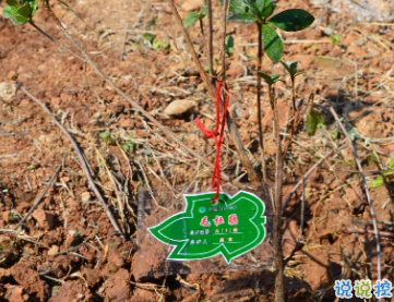 2019植樹(shù)節(jié)朋友圈說(shuō)說(shuō)大全 312關(guān)于植樹(shù)節(jié)的心情說(shuō)說(shuō)1