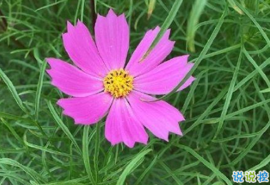 2019最新微信經(jīng)典短句 今年很流行的經(jīng)典語錄2