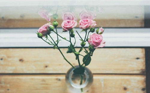 2019微信經(jīng)典說(shuō)說(shuō)心情短語(yǔ) 每個(gè)人必須了解的經(jīng)典句子2