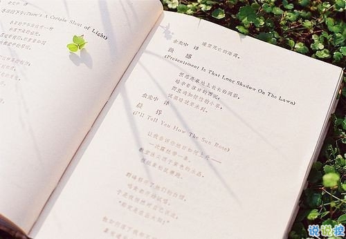 長(zhǎng)大變成熟的經(jīng)典說說大全 適合發(fā)說說的人生硬道理1