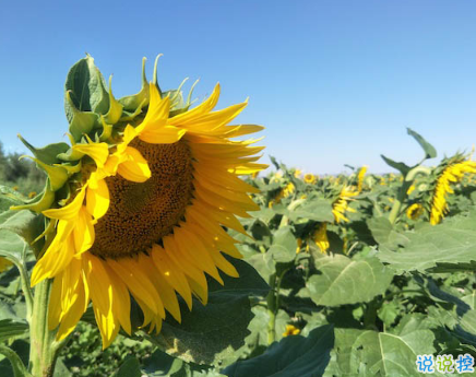 2018九月你好唯美經典說說精選 八月再見九月你好明天會更好1