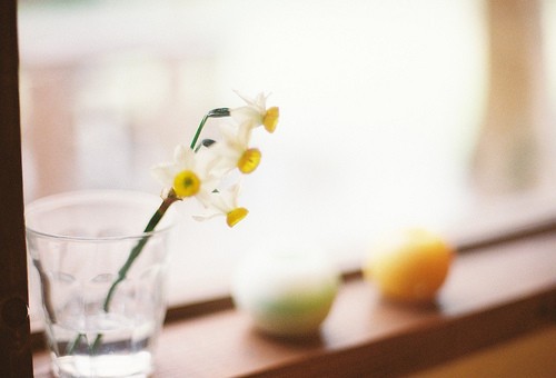 2019四月你好說(shuō)說(shuō)充滿正能量 聽(tīng)起來(lái)很溫暖的心情說(shuō)說(shuō)2