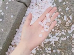 抖音上熱門說說大全 抖音最火個性說說絕對精辟