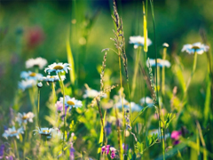 朋友圈個(gè)性說(shuō)說(shuō)簡(jiǎn)單一句話 趁著年輕把能干的壞事干了吧