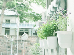 2019微信最火的說說 被點贊轉(zhuǎn)發(fā)最高的30條說說