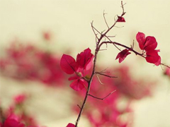 出去玩的心情說(shuō)說(shuō)簡(jiǎn)短2019 出去游玩的微信朋友圈說(shuō)說(shuō)