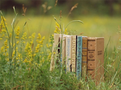 適合春天發(fā)的朋友圈唯美句子 2019春天賞花的心情說(shuō)說(shuō)