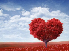 2019最新婦女節(jié)祝福語說說 38婦女節(jié)住所有女性節(jié)日快樂