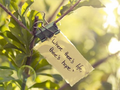 今天心情很好的說(shuō)說(shuō)短句 微信朋友圈開(kāi)心快樂(lè)的說(shuō)說(shuō)