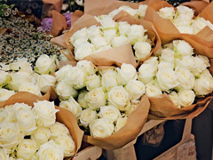 獨(dú)特感到驚艷的個(gè)性說說 獨(dú)一無二很有魅力的微信說說