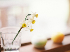 2019四月你好說說充滿正能量 聽起來很溫暖的心情說說