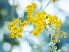 2019春分朋友圈心情說(shuō)說(shuō)大全 春分節(jié)氣微信簡(jiǎn)短說(shuō)說(shuō)