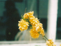 發(fā)微信朋友圈的好句子大全 別致一點的朋友圈說說有個性