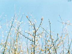 女生霸氣說(shuō)說(shuō)很犀利毒舌 一句話朋友圈霸氣說(shuō)說(shuō)