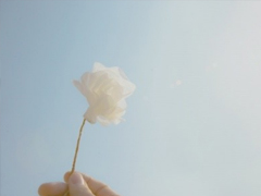 2019微信晚安說說經(jīng)典大全 送給自己的晚安說說有哲理