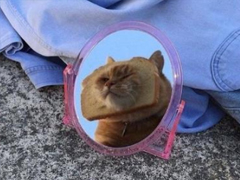 爸媽哪些言行讓你懷疑自己可能是撿來的 雷死人的回答