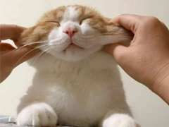 qq擴列說說怎么寫逗比 超級搞笑有趣的擴列說說