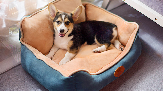 光棍節(jié)一個(gè)人過的霸氣微信說說 雙11來自單身狗的怒吼