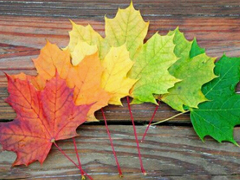 寫給閨蜜的一些說說句子很煽情 暖心的閨蜜說說簡單卻讓人感動(dòng)