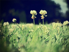 簡(jiǎn)單美好的個(gè)性說說超級(jí)暖心 2019請(qǐng)多指教